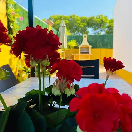 Guadalmina Bonita Con Piscina Playa 800m Villa Marbella